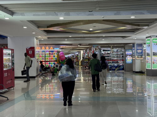 從入境游到入境購 帶著空箱來中國的外國游客多起來了