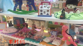 掘金鄉(xiāng)野新藍(lán)海 三大農(nóng)村創(chuàng)業(yè)項(xiàng)目，玩具技術(shù)開發(fā)與銷售引領(lǐng)風(fēng)潮